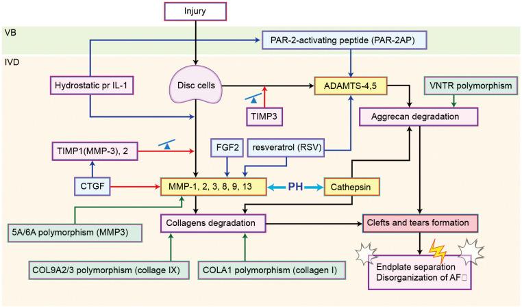 https://cdn.ncbi.nlm.nih.gov/pmc/blobs/ad71/8860939/a3208ab82fa6/ymj-63-199-g004.jpg