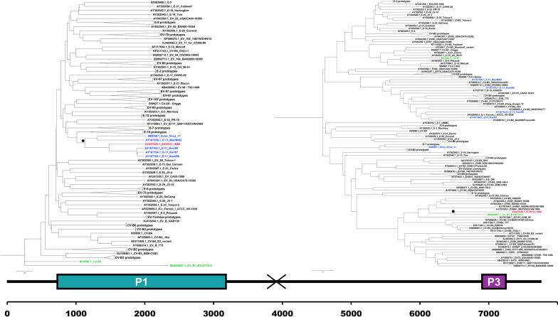 https://cdn.ncbi.nlm.nih.gov/pmc/blobs/ad73/9166486/93355ba1fbe2/12985_2022_1821_Fig2_HTML.jpg