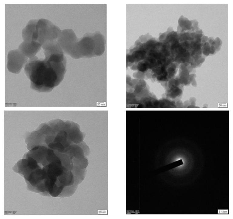 https://cdn.ncbi.nlm.nih.gov/pmc/blobs/ad74/7037650/8e7895ff733c/molecules-25-00555-g002.jpg