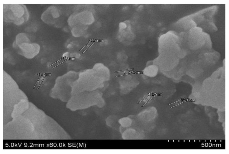 https://cdn.ncbi.nlm.nih.gov/pmc/blobs/ad74/7037650/a9835214d1fd/molecules-25-00555-g004.jpg
