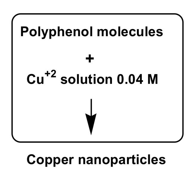 https://cdn.ncbi.nlm.nih.gov/pmc/blobs/ad74/7037650/d28208c69262/molecules-25-00555-sch001.jpg
