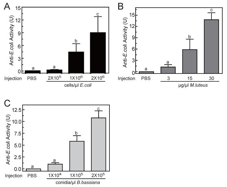 https://cdn.ncbi.nlm.nih.gov/pmc/blobs/ad78/3805904/652a0c10973d/ijbsv09p1004g005.jpg