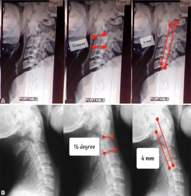 https://cdn.ncbi.nlm.nih.gov/pmc/blobs/ad7a/11310541/ef459633dfa0/2432-261X-8-0391-g001.jpg