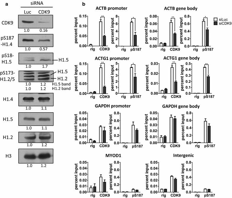 https://cdn.ncbi.nlm.nih.gov/pmc/blobs/ad7a/5440973/3bc33f882280/13072_2017_135_Fig5_HTML.jpg