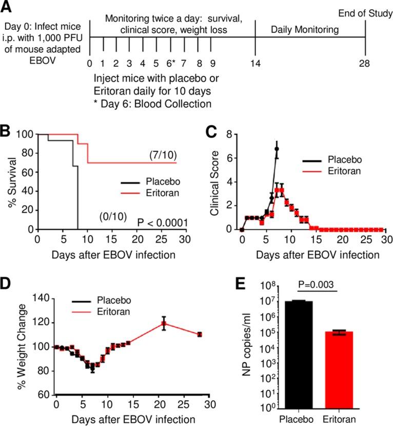 https://cdn.ncbi.nlm.nih.gov/pmc/blobs/ad7e/5405229/3bd267daf72d/mbo0021732860001.jpg