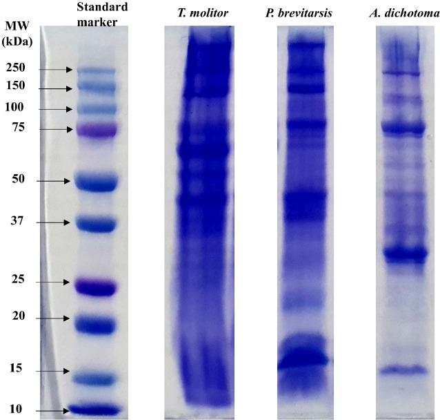 https://cdn.ncbi.nlm.nih.gov/pmc/blobs/ad80/8071746/a2b4c3da243a/jast-63-2-417-g1.jpg