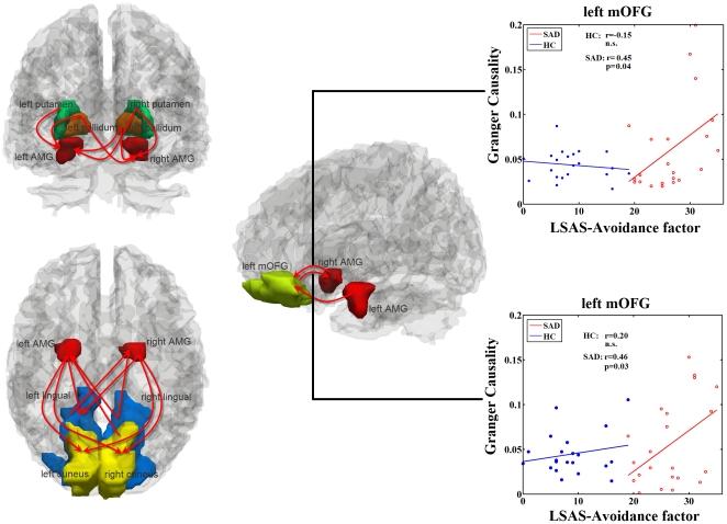 https://cdn.ncbi.nlm.nih.gov/pmc/blobs/ad82/3008679/6b5eeac48ad4/pone.0015238.g003.jpg