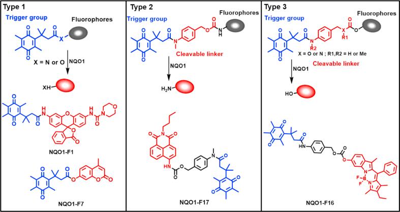 https://cdn.ncbi.nlm.nih.gov/pmc/blobs/ad82/9069481/ad24fe7d3e92/gr5.jpg