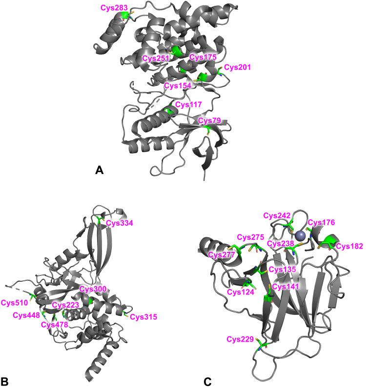 https://cdn.ncbi.nlm.nih.gov/pmc/blobs/ad84/11226190/2309169a34a0/DDDT-18-2653-g0004.jpg