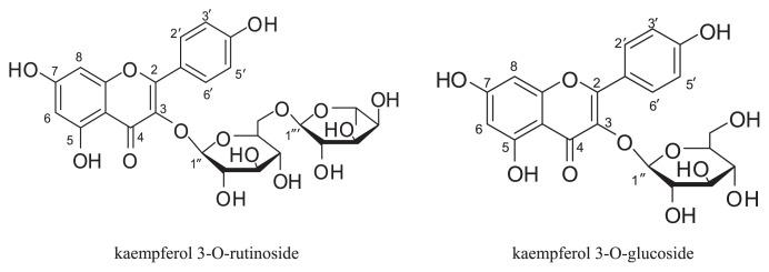 https://cdn.ncbi.nlm.nih.gov/pmc/blobs/ad86/9351762/a57375c1a4d3/jfda-23-02-310f1.jpg