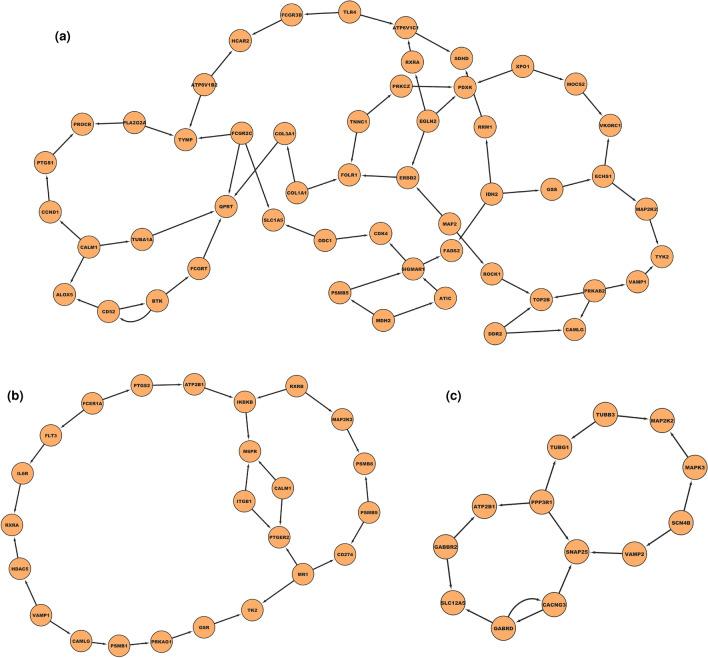 https://cdn.ncbi.nlm.nih.gov/pmc/blobs/ad8a/11550418/58cca8389d7d/41598_2024_78606_Fig19_HTML.jpg