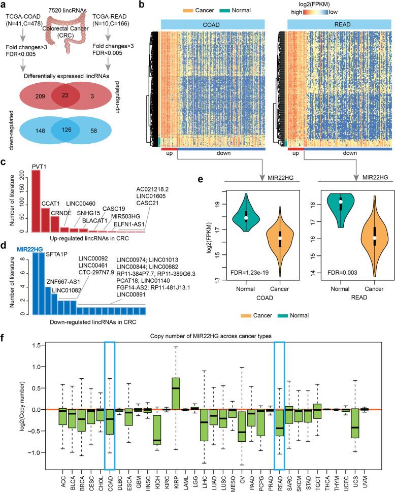 https://cdn.ncbi.nlm.nih.gov/pmc/blobs/ad8a/7055097/14f9ec185cea/12943_2020_1174_Fig1_HTML.jpg