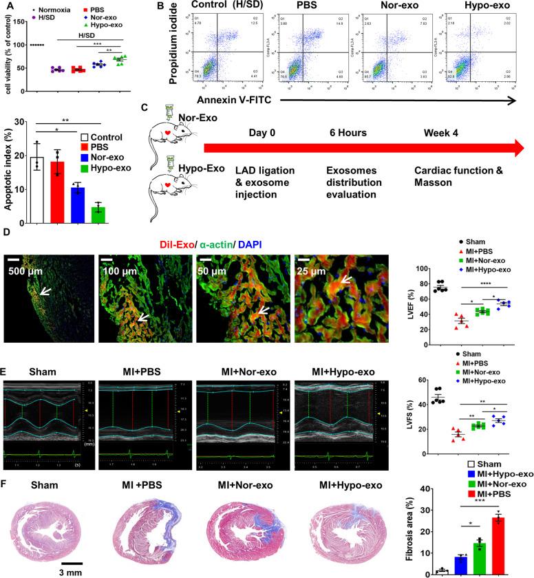 https://cdn.ncbi.nlm.nih.gov/pmc/blobs/ad8b/7442657/1199f22261c6/41419_2020_2783_Fig2_HTML.jpg