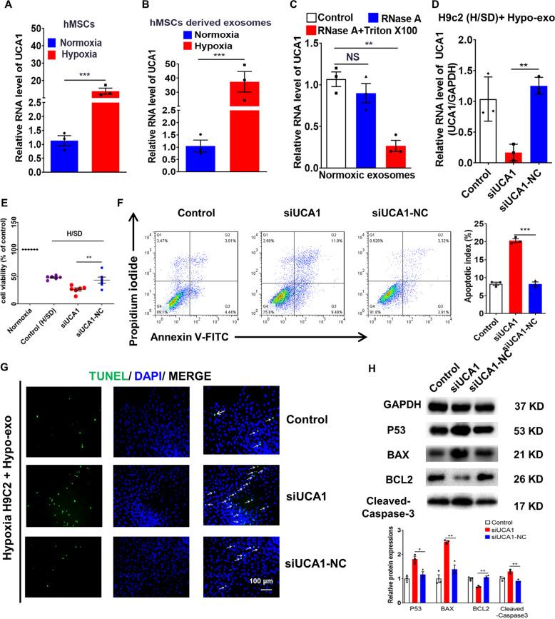 https://cdn.ncbi.nlm.nih.gov/pmc/blobs/ad8b/7442657/937102e2c209/41419_2020_2783_Fig3_HTML.jpg