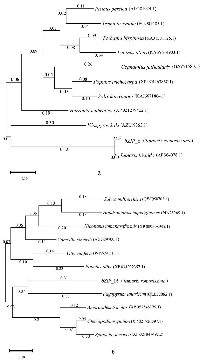 https://cdn.ncbi.nlm.nih.gov/pmc/blobs/ad8c/10743189/4681565294df/genes-14-02203-g003.jpg