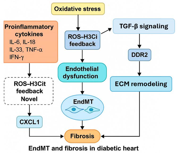https://cdn.ncbi.nlm.nih.gov/pmc/blobs/ad8f/12109261/fafca464ec86/biomedicines-13-01148-g008.jpg