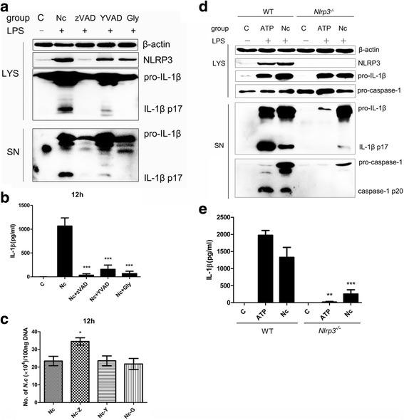 https://cdn.ncbi.nlm.nih.gov/pmc/blobs/ad90/5450200/a60f4aef1e19/13071_2017_2197_Fig5_HTML.jpg