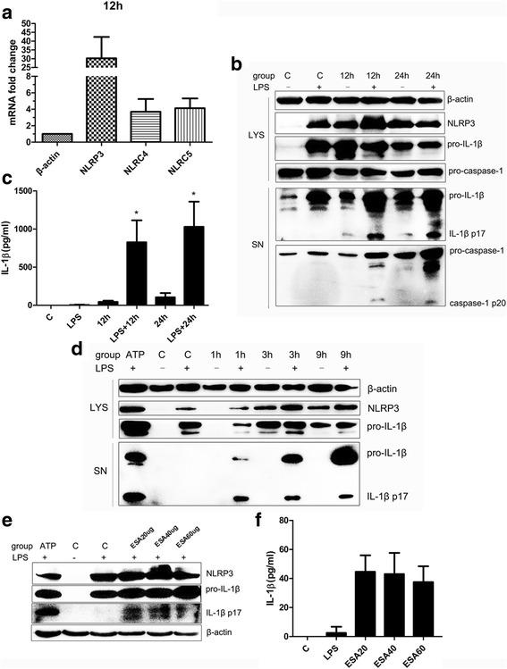 https://cdn.ncbi.nlm.nih.gov/pmc/blobs/ad90/5450200/c960b7753bb2/13071_2017_2197_Fig2_HTML.jpg