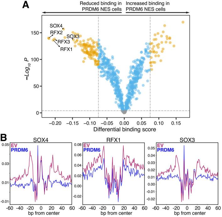 https://cdn.ncbi.nlm.nih.gov/pmc/blobs/ad91/11239875/9bc62bdbbec8/41598_2024_66811_Fig4_HTML.jpg