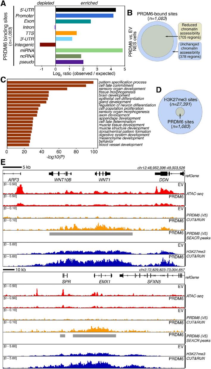 https://cdn.ncbi.nlm.nih.gov/pmc/blobs/ad91/11239875/f3cb5099ba77/41598_2024_66811_Fig5_HTML.jpg