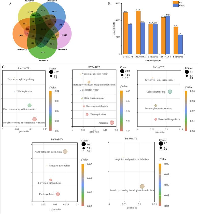 https://cdn.ncbi.nlm.nih.gov/pmc/blobs/ad91/11438436/03a24e9fd18f/peerj-12-17804-g003.jpg