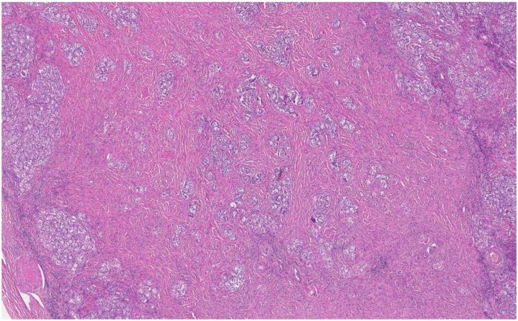 https://cdn.ncbi.nlm.nih.gov/pmc/blobs/ad96/9787768/a21fd5f9dfdf/medicina-58-01736-g006.jpg
