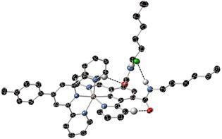 https://cdn.ncbi.nlm.nih.gov/pmc/blobs/ad9b/7216984/ef66bfbf0406/CHEM-26-5288-g001.jpg