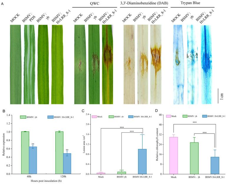 https://cdn.ncbi.nlm.nih.gov/pmc/blobs/ad9c/12348818/a2b8eb4f2f42/plants-14-02350-g006.jpg