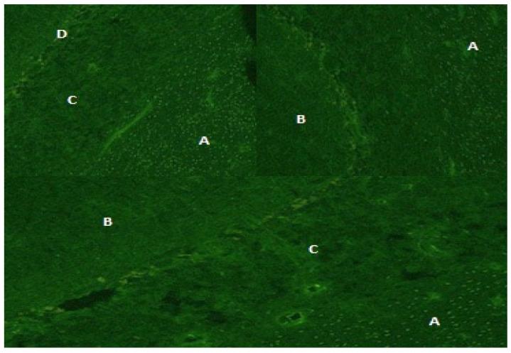 https://cdn.ncbi.nlm.nih.gov/pmc/blobs/ad9d/11433650/d55a490efe7e/microorganisms-12-01758-g001.jpg