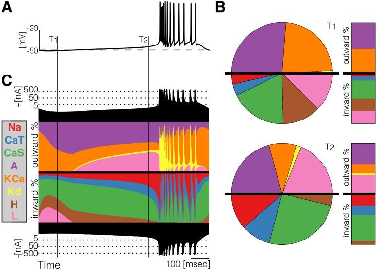 https://cdn.ncbi.nlm.nih.gov/pmc/blobs/ad9d/6395073/1b3d9e2e6f60/elife-42722-fig2.jpg