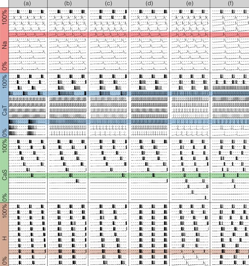 https://cdn.ncbi.nlm.nih.gov/pmc/blobs/ad9d/6395073/53a4aac3b28f/elife-42722-fig7.jpg