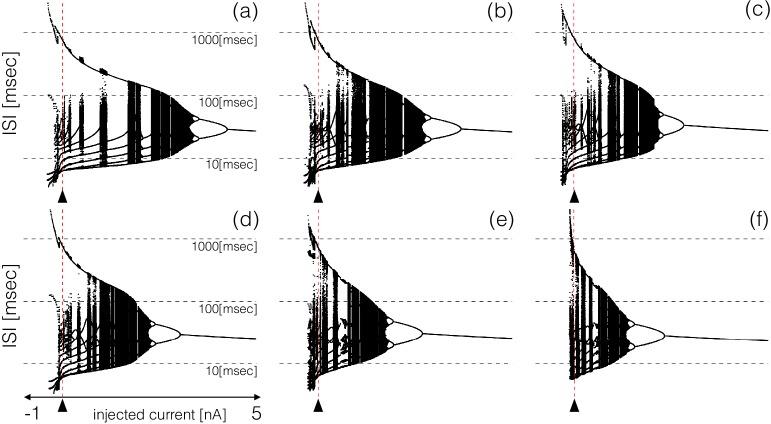 https://cdn.ncbi.nlm.nih.gov/pmc/blobs/ad9d/6395073/9554810a172b/elife-42722-fig6.jpg