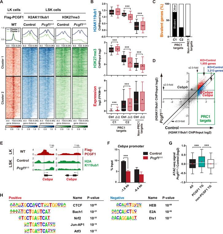 https://cdn.ncbi.nlm.nih.gov/pmc/blobs/ad9e/10287155/24af4b14b4f0/elife-83004-fig3.jpg