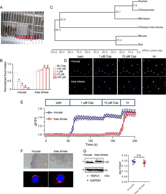https://cdn.ncbi.nlm.nih.gov/pmc/blobs/ad9e/6042686/b0029dd57762/pbio.2004921.g001.jpg
