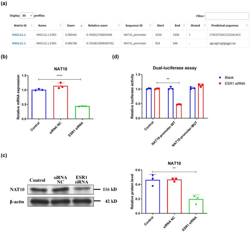 https://cdn.ncbi.nlm.nih.gov/pmc/blobs/ad9f/11992624/19c267a4f530/j_biol-2022-0913-fig004.jpg