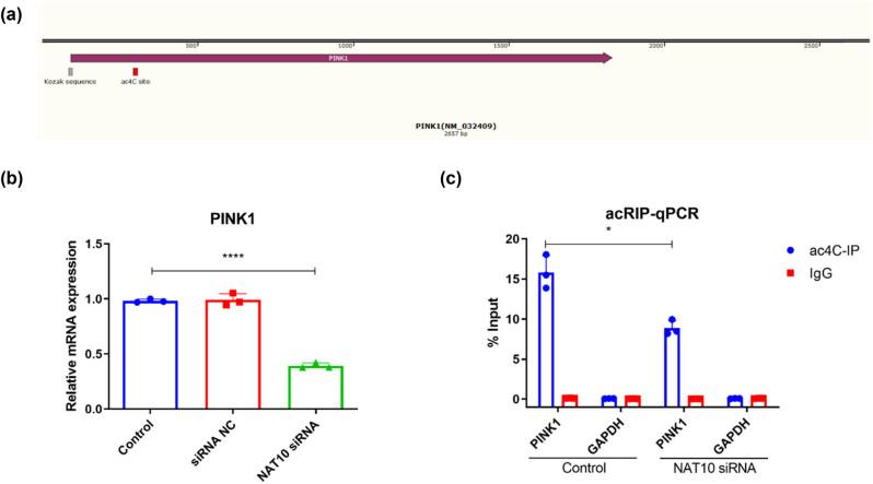 https://cdn.ncbi.nlm.nih.gov/pmc/blobs/ad9f/11992624/f529d72a269e/j_biol-2022-0913-fig003.jpg