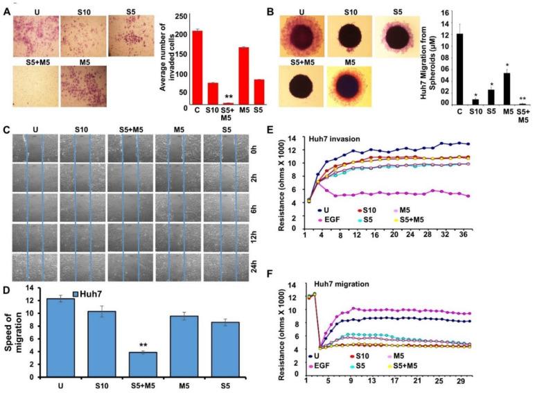 https://cdn.ncbi.nlm.nih.gov/pmc/blobs/ada0/9329836/3155e33711d9/ijms-23-08083-g002.jpg