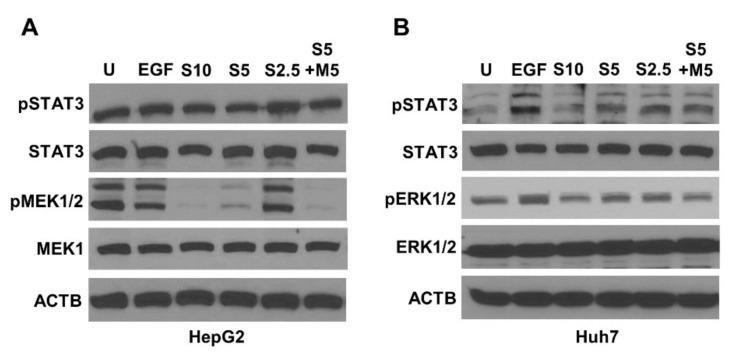 https://cdn.ncbi.nlm.nih.gov/pmc/blobs/ada0/9329836/5f28054bb4ac/ijms-23-08083-g003.jpg