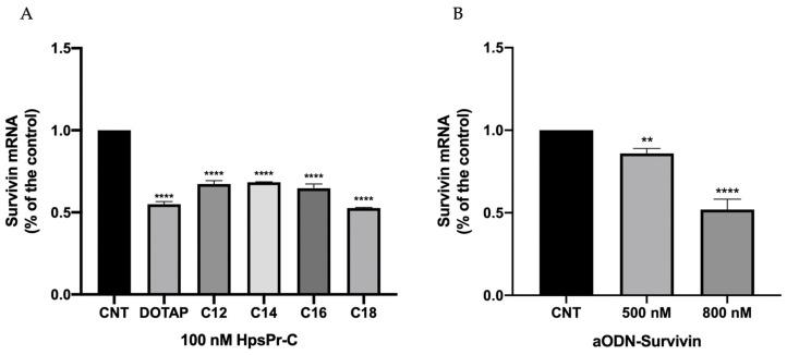 https://cdn.ncbi.nlm.nih.gov/pmc/blobs/ada3/11048556/115873960a6e/biomolecules-14-00390-g008.jpg