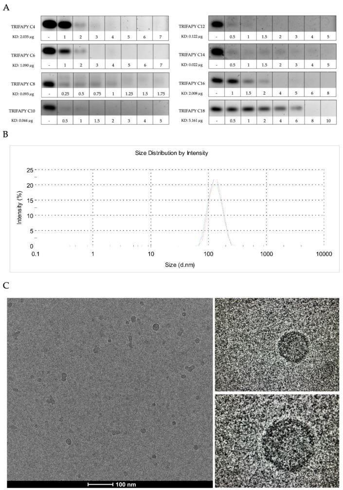 https://cdn.ncbi.nlm.nih.gov/pmc/blobs/ada3/11048556/42064329dee8/biomolecules-14-00390-g003.jpg