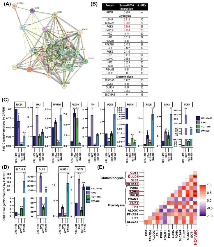 https://cdn.ncbi.nlm.nih.gov/pmc/blobs/ada3/11898799/817d643e6223/cells-14-00388-g002.jpg