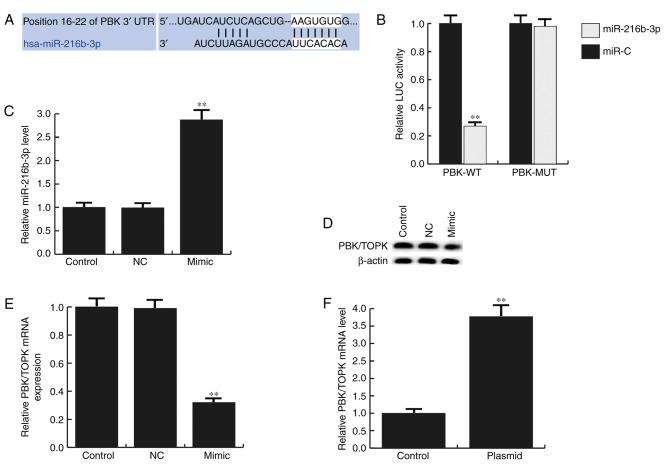 https://cdn.ncbi.nlm.nih.gov/pmc/blobs/ada3/5952093/535c33890f3a/etm-15-06-4822-g02.jpg
