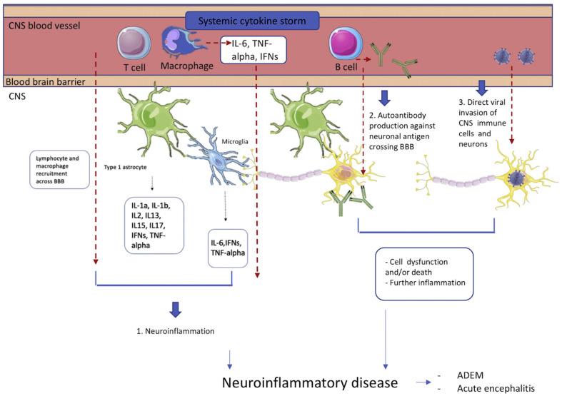 https://cdn.ncbi.nlm.nih.gov/pmc/blobs/ada4/8332920/b5264c9bbd83/gr5_lrg.jpg