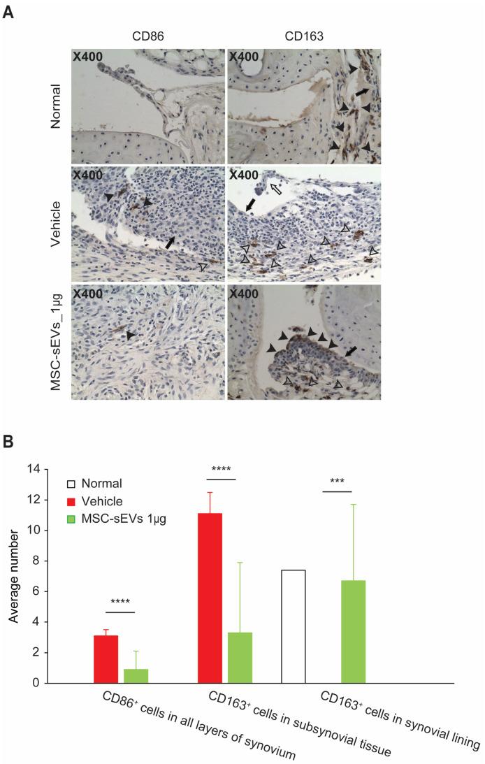 https://cdn.ncbi.nlm.nih.gov/pmc/blobs/ada5/10605110/d2e97b13b4c6/biomolecules-13-01501-g006.jpg