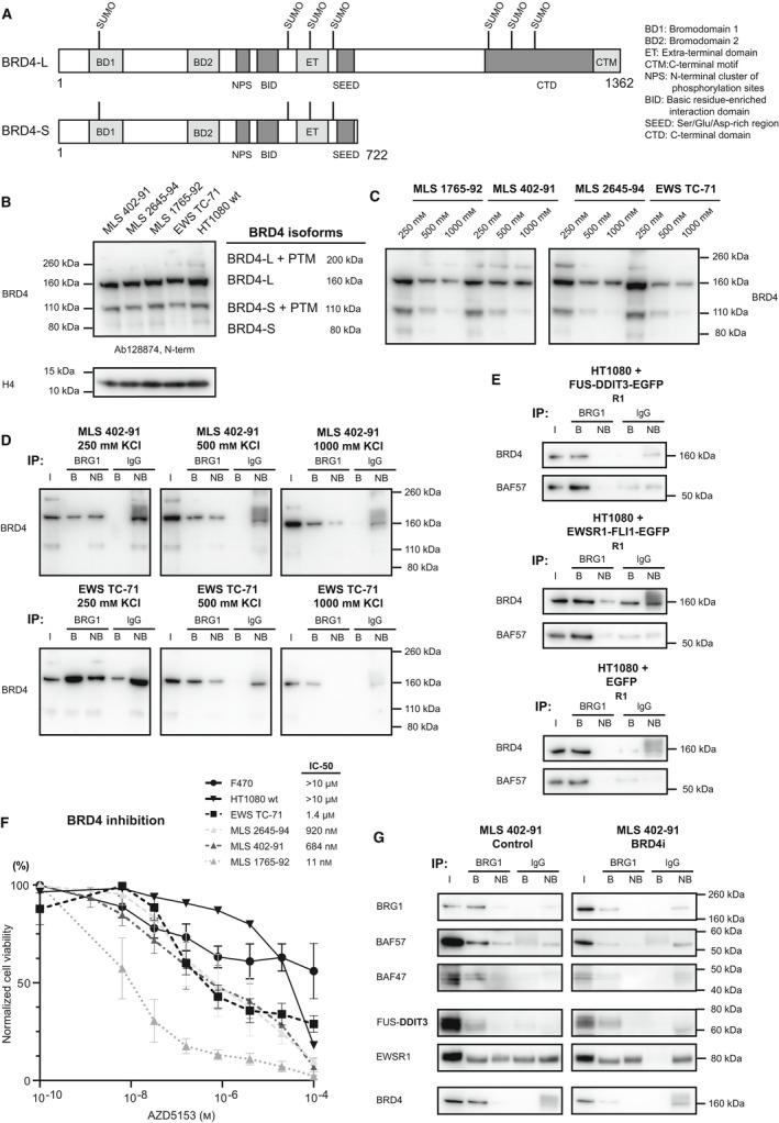 https://cdn.ncbi.nlm.nih.gov/pmc/blobs/ada8/9251840/2442774d8f3d/MOL2-16-2470-g008.jpg