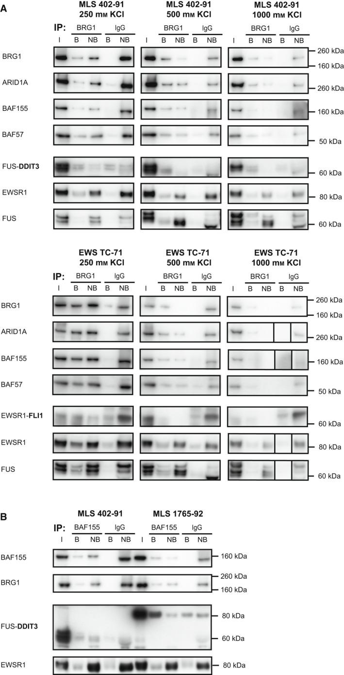 https://cdn.ncbi.nlm.nih.gov/pmc/blobs/ada8/9251840/5dbe1f3c225d/MOL2-16-2470-g004.jpg