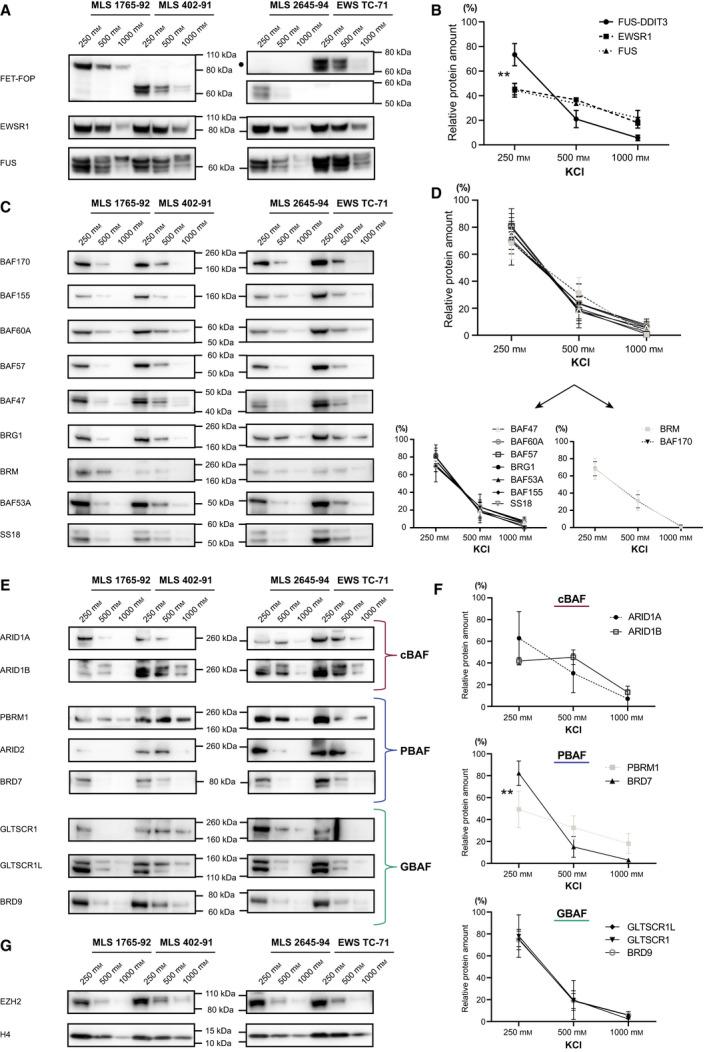 https://cdn.ncbi.nlm.nih.gov/pmc/blobs/ada8/9251840/7a1e8c5306ab/MOL2-16-2470-g003.jpg