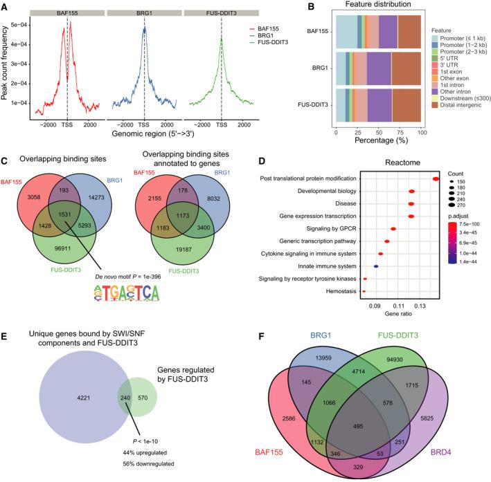 https://cdn.ncbi.nlm.nih.gov/pmc/blobs/ada8/9251840/da29ed17c74c/MOL2-16-2470-g012.jpg