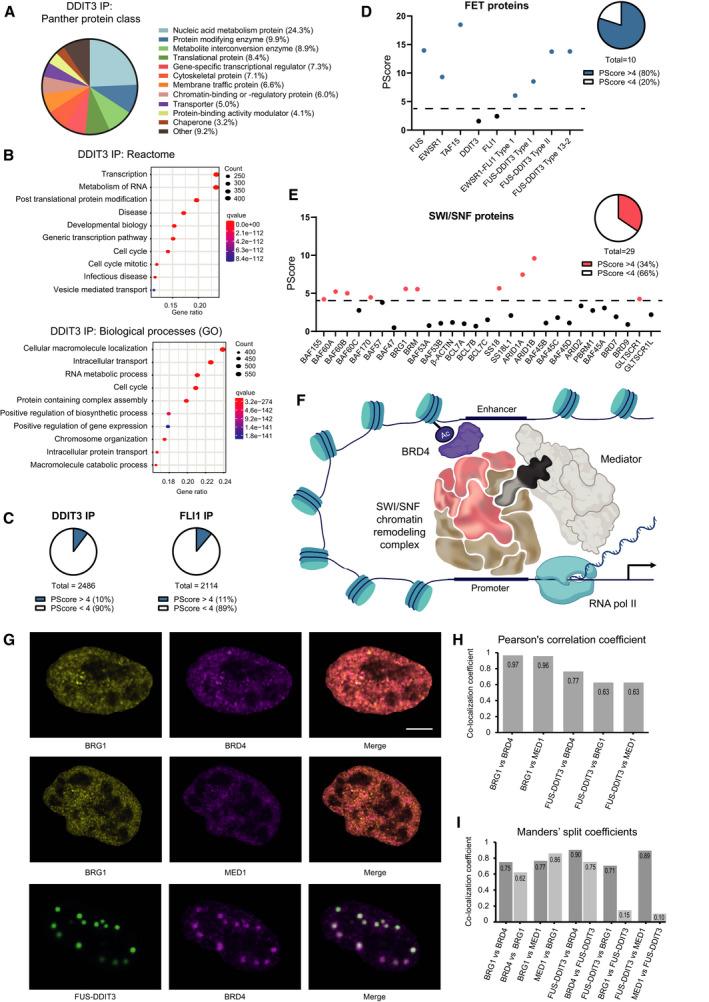 https://cdn.ncbi.nlm.nih.gov/pmc/blobs/ada8/9251840/e0ce936227ba/MOL2-16-2470-g006.jpg