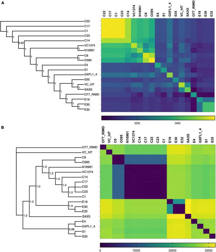https://cdn.ncbi.nlm.nih.gov/pmc/blobs/ada9/9608740/d92dee04e8b9/fmicb-13-998182-g001.jpg